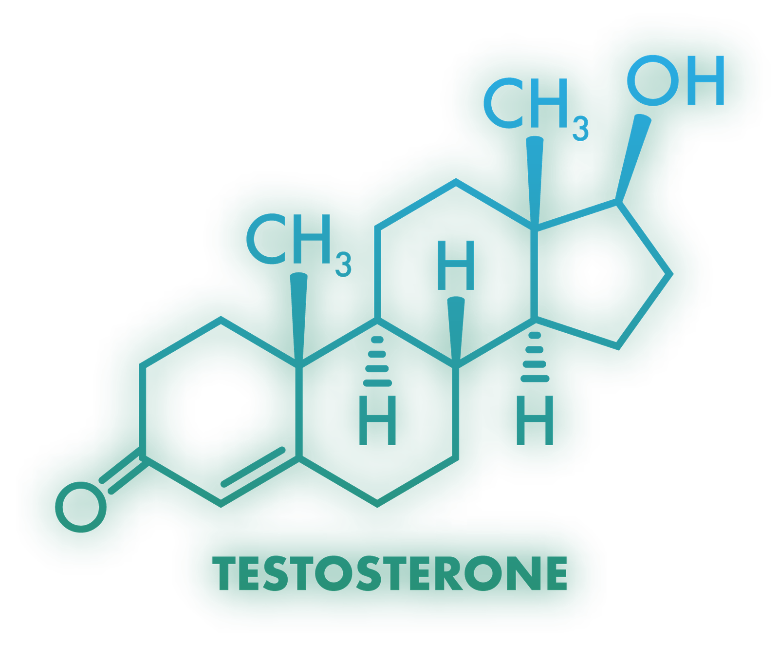 testosterone